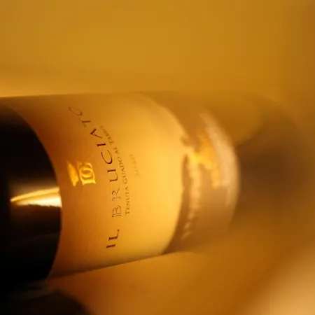 Antica فندق